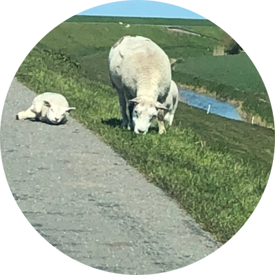 Bed and Breakfast Pelgrimshuuske omgeving